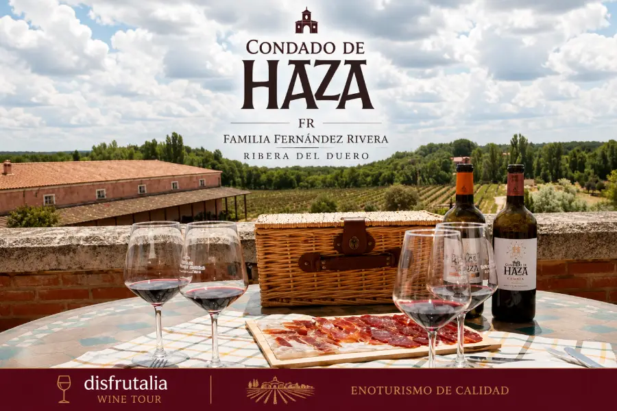 Condado de Haza - Bodega Ribera del Duero - Experiencia de enoturismo